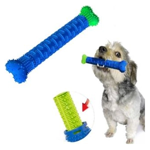 دندانی جرم‌گیر دندان سگ