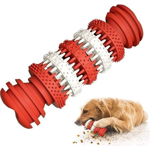 دندانی و مسواک تشویقی خور شان