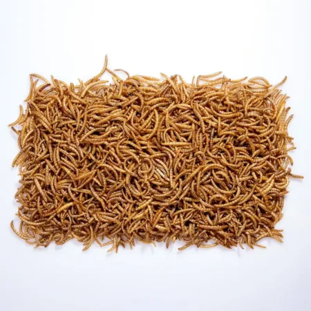 غذای خشک پرندگان مدل کرم میلورم