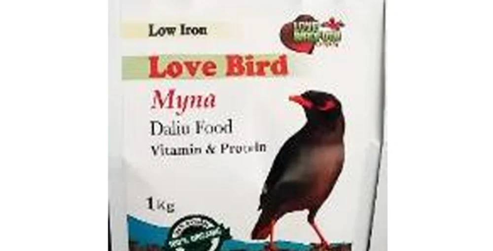 غذای مرغ مینا