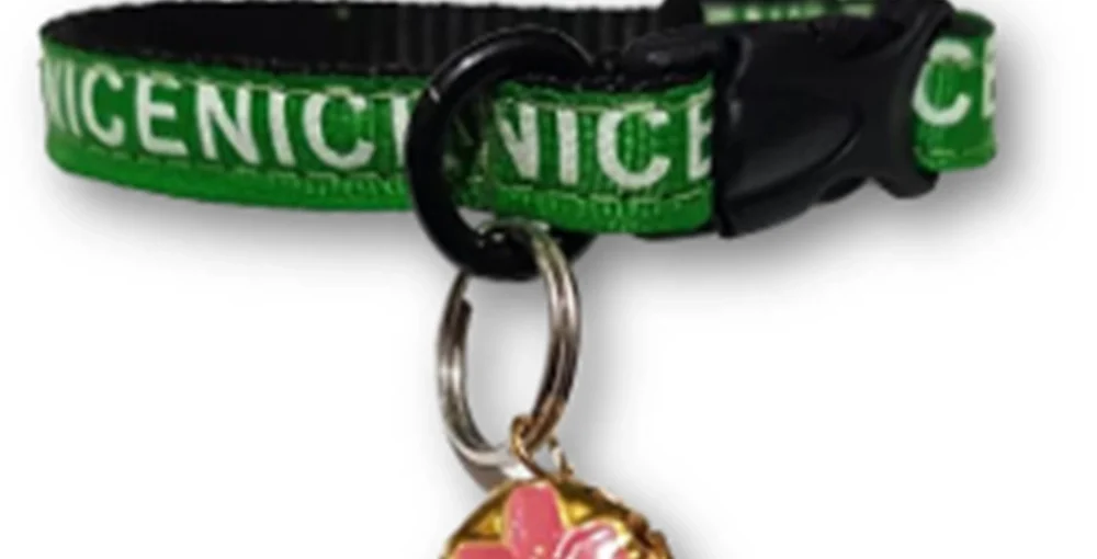 قلاده گردنی 1 سانتی طرح دار زنگوله دار مدل نانسی