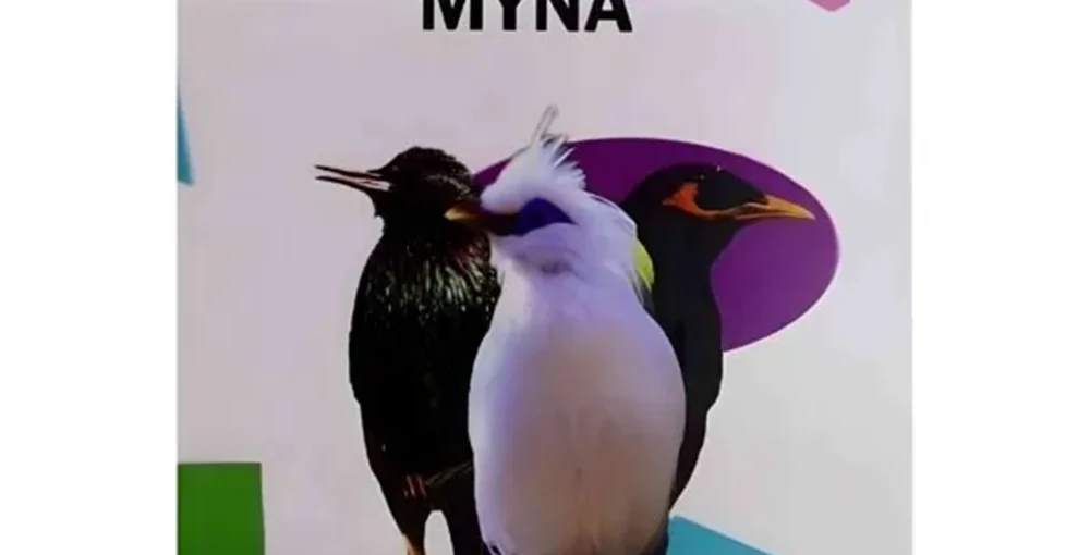 غذای مخصوص مینا لاوبرد باکس