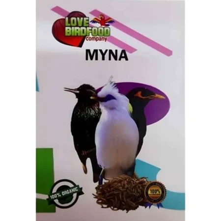 غذای مخصوص مینا لاوبرد باکس