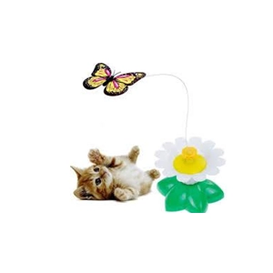 پروانه چرخان گربه