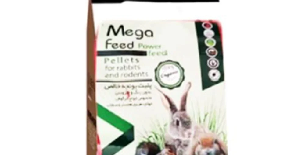 پلت خرگوش آجیلی