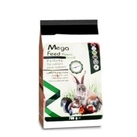 پلت خرگوش آجیلی