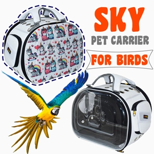 کیف حمل یک طرف شفاف مدل اسکای