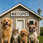 پت شاپ مت و پت تهران