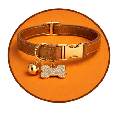 انواع قلاده حیوانات خانگی و بند ایمنی