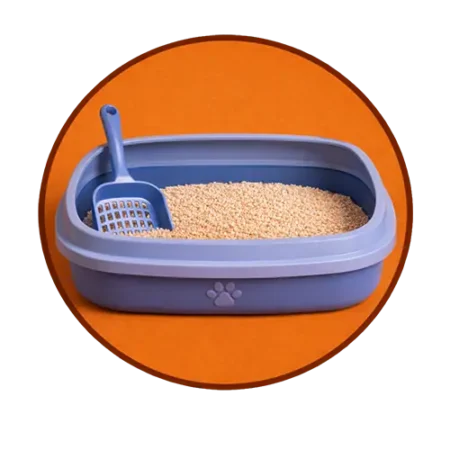 سینی و ظرف خاک گربه