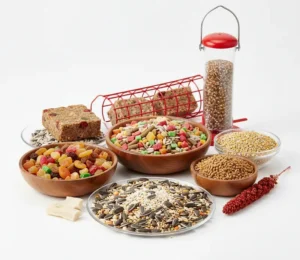 غذای پرندگان برای آواز و انرژی