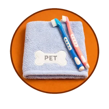 بهداشت و نظافت حیوانات خانگی