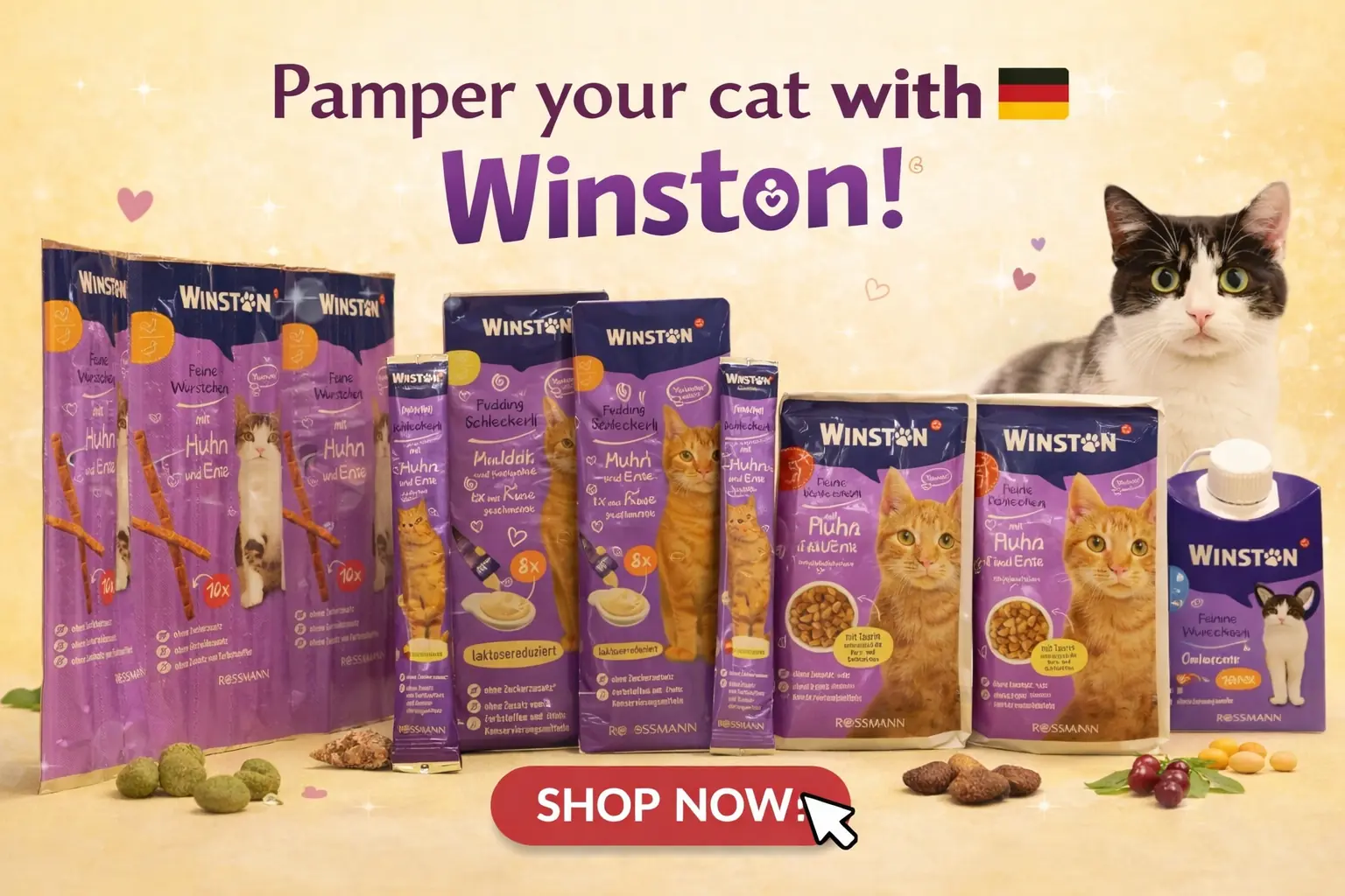 محصولات برند وینستون فروشگاه مت و پت