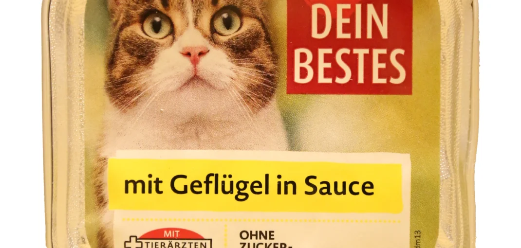 ووم گربه دین بستس طعم مرغ