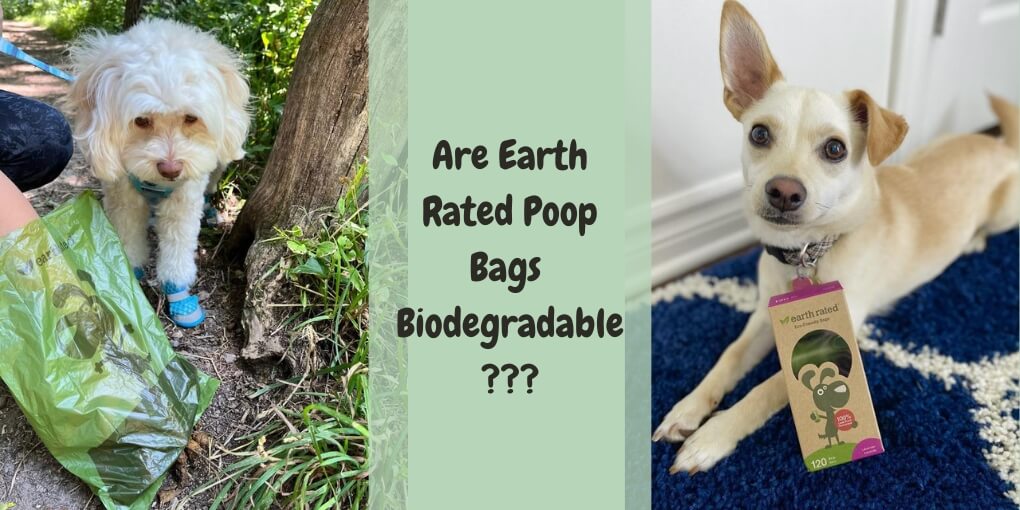 Are earth rated Poop Bags Biodegradable