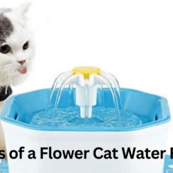 The Benefits of a Flower Cat Water Fountain for Your Friend