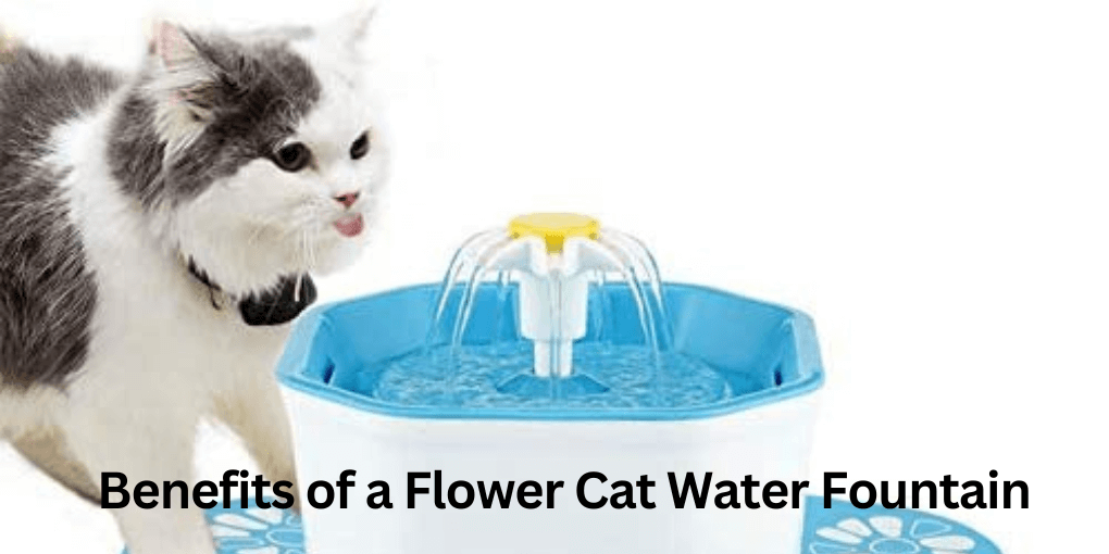 Benefits of a Flower Cat Water Fountain 