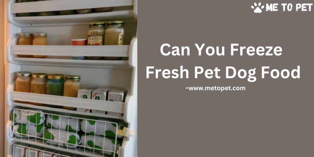 Can You Freeze Fresh Pet Dog Food