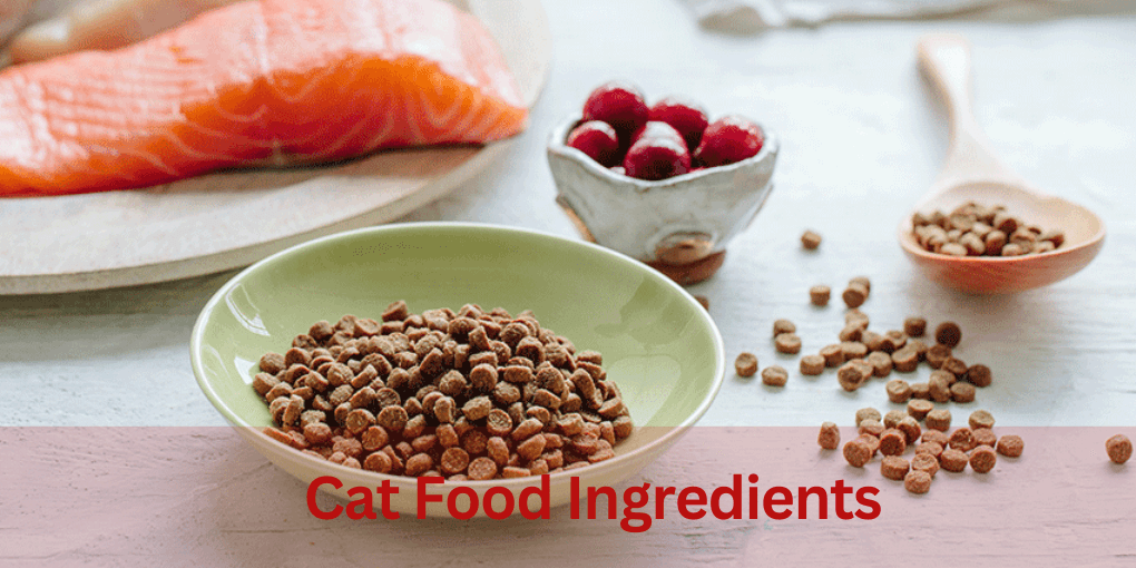 Cat Food Ingredients 