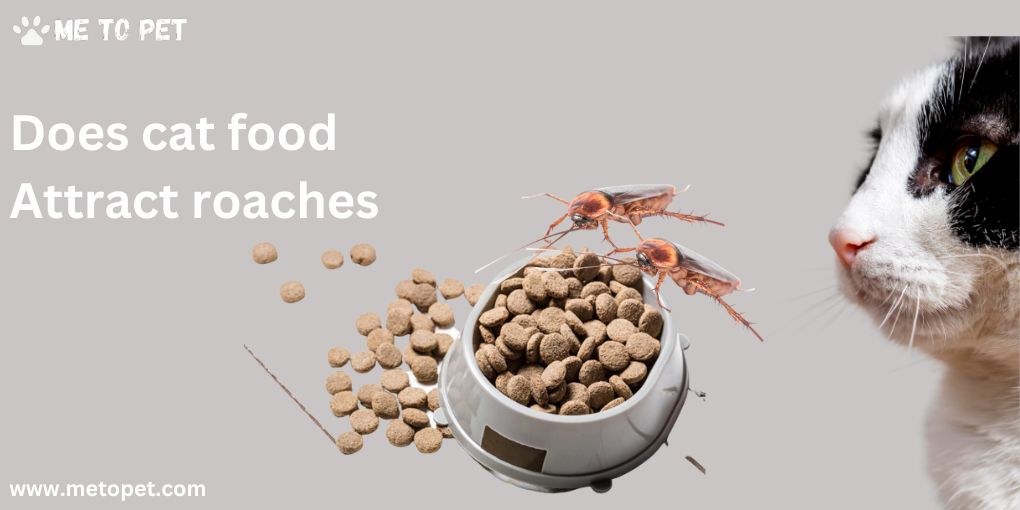 Does Cat Food Attract Roaches