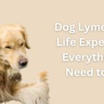 Dog Lyme Disease Life Expectancy