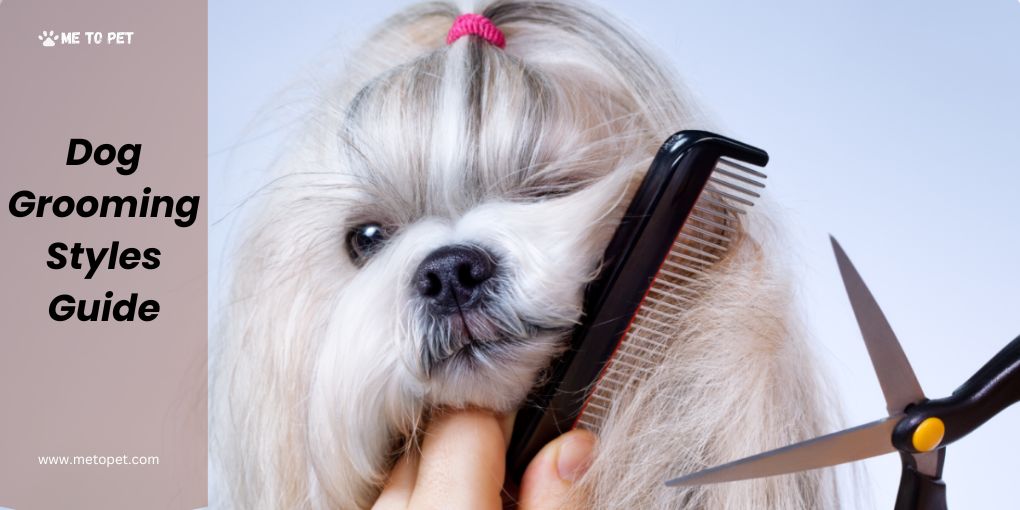 Dogs Grooming Styles Guide
