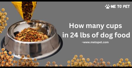 How many cups in 24 lbs of dog food