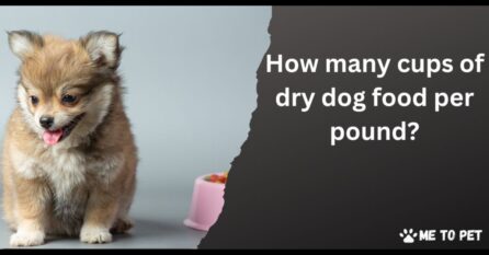 How many cups of dry dog food per pound