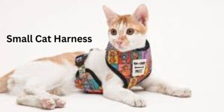 Small Cat Harness