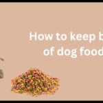 How to keep bugs out of dog food bowl