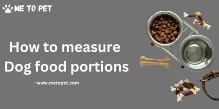 How to measure dog food portions