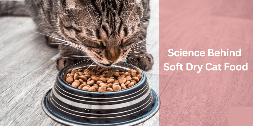 Science Behind Soft Dry Cat Food