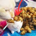 Healthy and Simple: How To Make Cat Treats Today