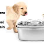 Why Every Cat Owner Needs a Stainless Steel Water Fountain