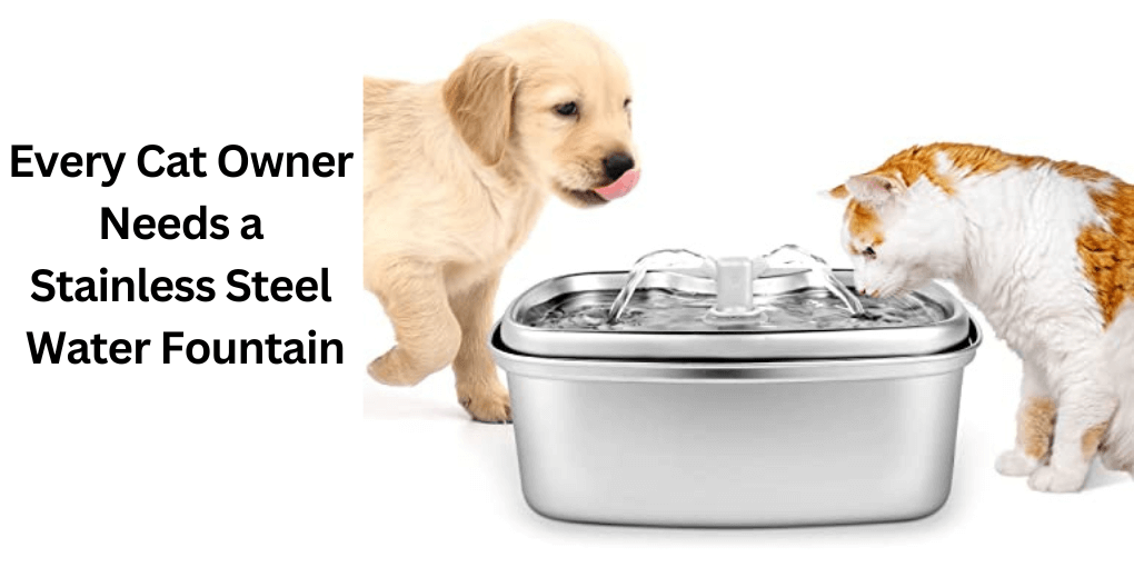 Why Every Cat Owner Needs a Stainless Steel Water Fountain 