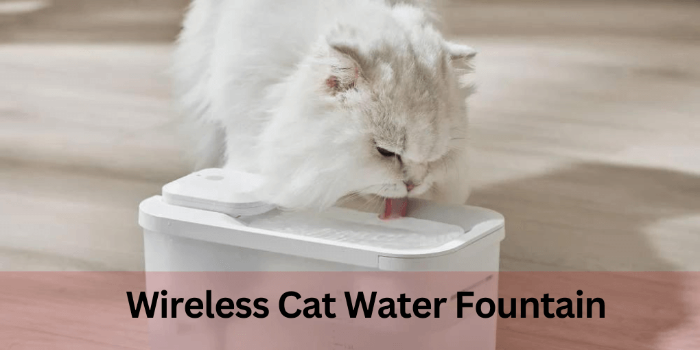 Wireless Cat Water Fountain 