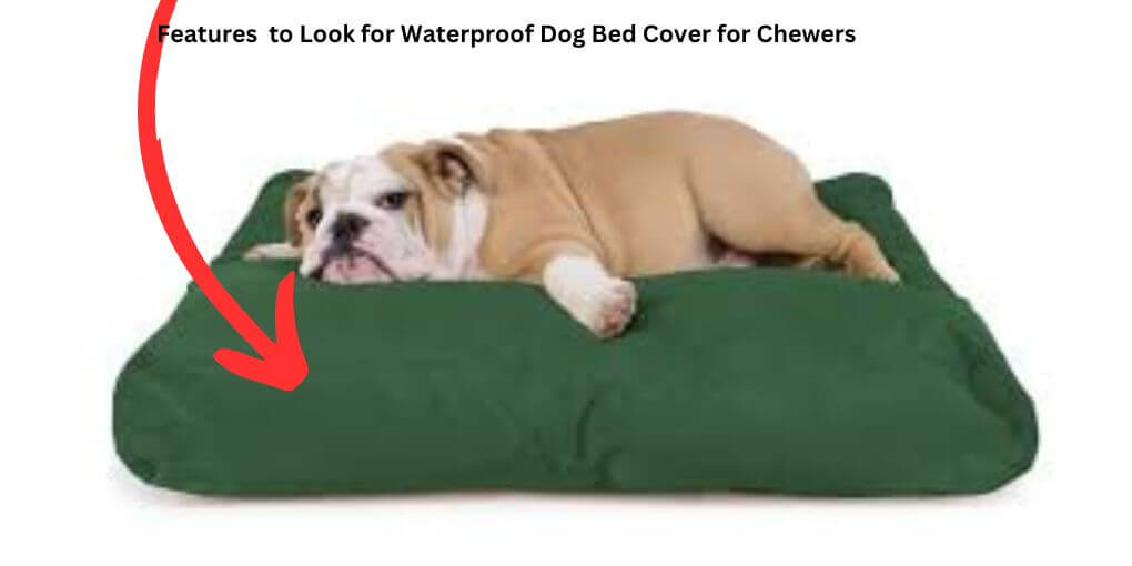 Features to Look for Waterproof Dog Bed Cover for Chewers
