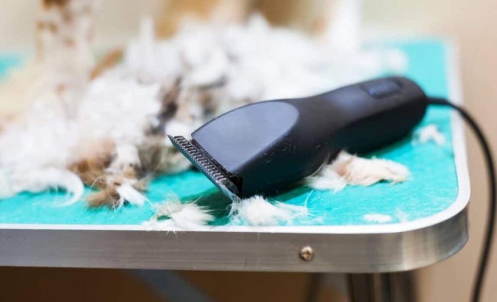 Corded vs Cordless Dog Clippers