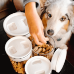 How to Store Dog Food